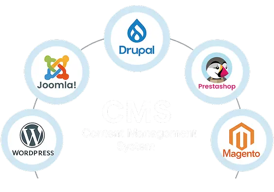 CMS Website Development Company